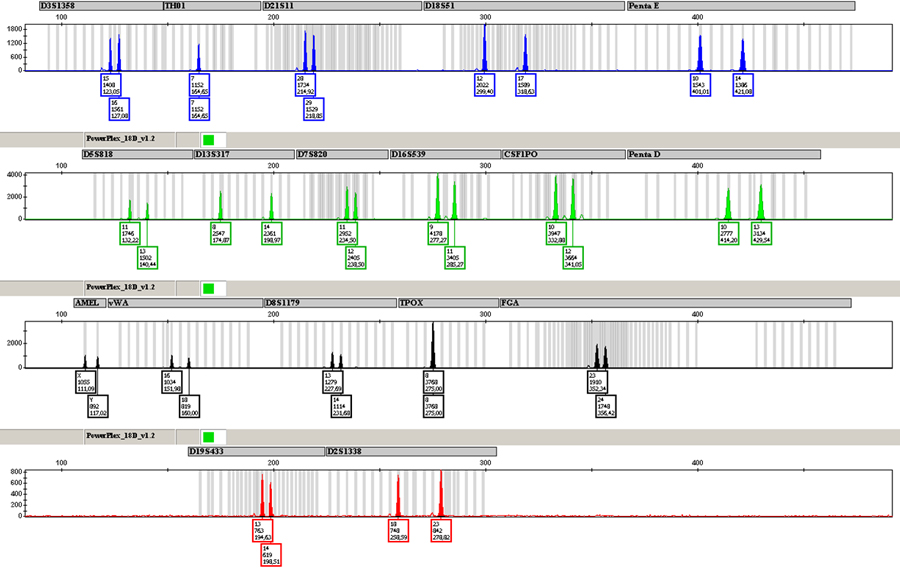 Manriquez Figure 3